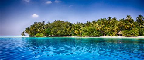 Maldives Beach Palm Trees Tropical Sea Sand Water Summer Exotic