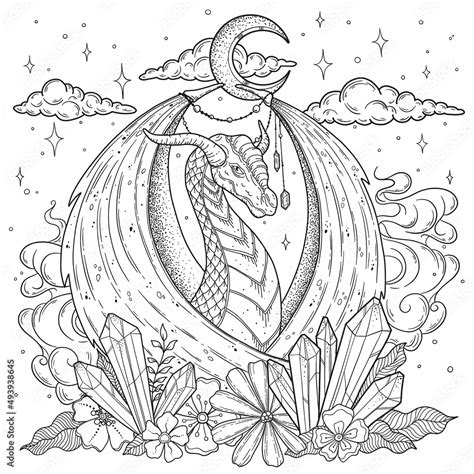 Adult coloring book page with beautiful dragon on white background