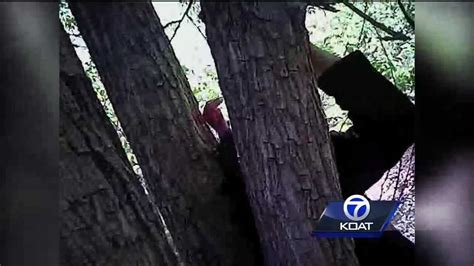911 Calls Describe Disturbing Scene Of Man Nailed To Tree
