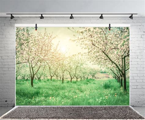 Leyiyi 10x8ft Photography Background Peach Flower Blossom Backdrop