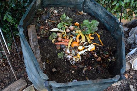 Things You Need To Know About Composting Readers Digest