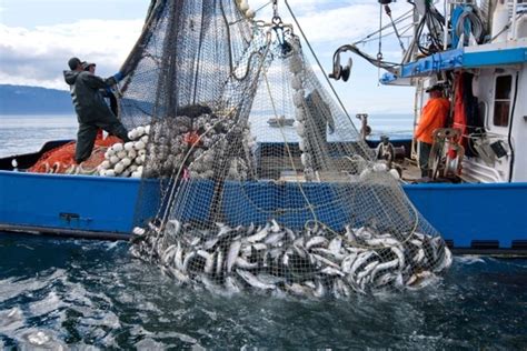 New Indicators Could Help Manage Global Overfishing Noaa Fisheries