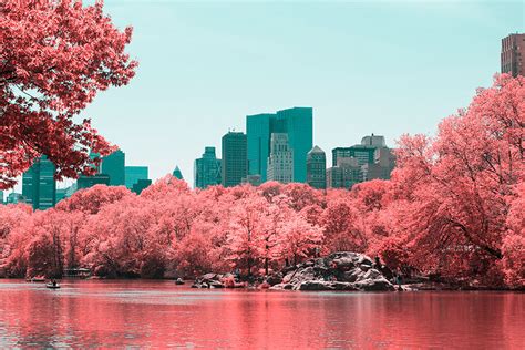 Infrared Photos Of New Yorks Central Park Demilked