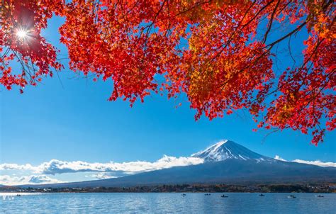 Wallpaper Autumn The Sky Leaves Colorful Japan Japan Red Maple