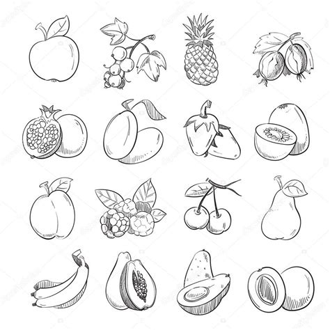 Fotos frutas para dibujar Mano dibujo doodle ilustración de vector
