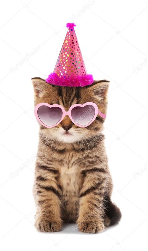 Small Cute Kitten In Pink Heart Shaped Sunglasses And