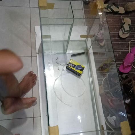 Selanjutnya air dari aquarium ke 2 turun lagi ke aquarium ke 3 dan juga pada sisi lain terdapat air yang langsung berjatuhan ke aquarium ke 3. AQUARIUM KACA UKURAN 80X40X40CM FILTER SAMPING | Shopee ...