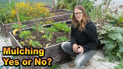Buy in small first and create an independent portfolio that is not connected with traditional finance. What is mulching and why should YOU do it! - YouTube