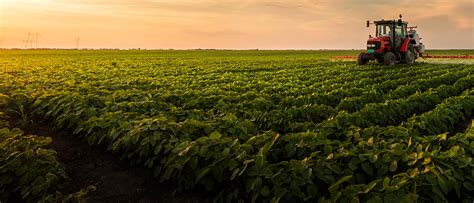 Qual A Diferença Entre Agricultura E Agropecuária