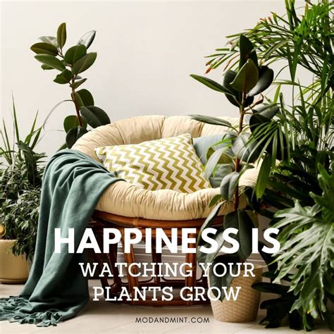 20 Funny Plant Quotes And Sayings