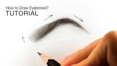 How To Draw Realistic Eyebrows For Beginners Easy