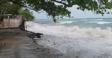 In the first half of the 19th century, trader ships regularly sailed up. Torres Strait Islanders Take On Government Over Climate ...