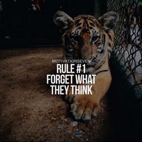 20 Motivation Powerful Tiger Quotes
