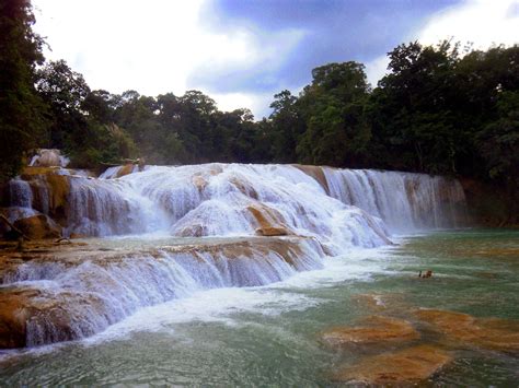 Al iniciar el recorrido podremos admirar la vegetación y diferentes agua azul, es considerada una reserva especial de la biosfera, dado que habitan un gran número de especies vegetales y animales como el tapir que en la. Cascadas de Agua Azul, Chiapas, Mexico | Cascadas de agua ...