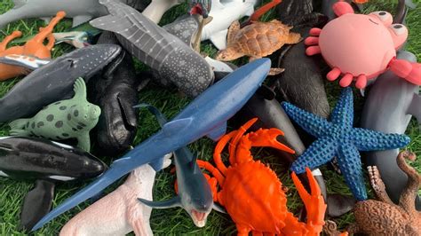 Learn Sea Animal Names Animal Toys Animals For Kids Wild Zoo Farm