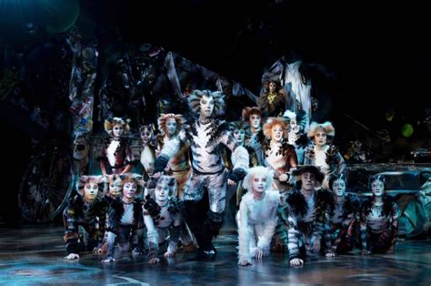 Cats Musical Singapore Stellar Uk Cast Now At Marina Bay