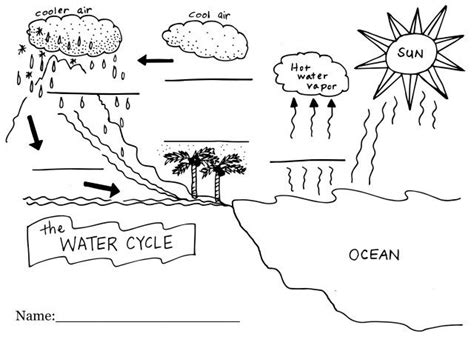 Download Exclusive Picture of Water Cycle Coloring Page | Water ...