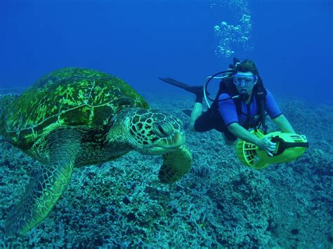 Scuba Diving Diver Ocean Sea Underwater Turtle Wallpaper 3072x2304