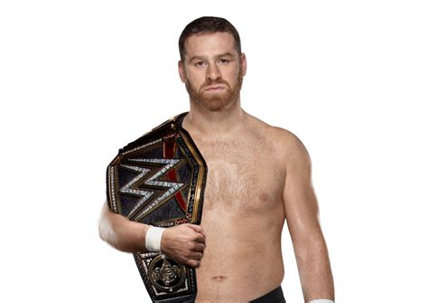 Cesaro talked about how he became paired up with shinsuke nakamura and sami zayn while doing. Sami Zayn WWE Champion 2018 by SSJGokufan01 on DeviantArt