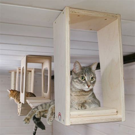 Ceiling Complex For Cats Cat Wall Furniture Cat Wall Shelves Cat