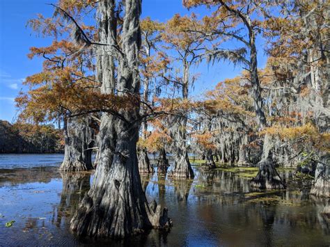 Caddo Lake And Big Cypress Bayou Texas Rivers Protection Association