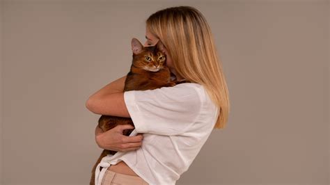 چگونه گربه را بغل کنیم؟ 8 راه ساده برای بغل کردن گربه پت بوم