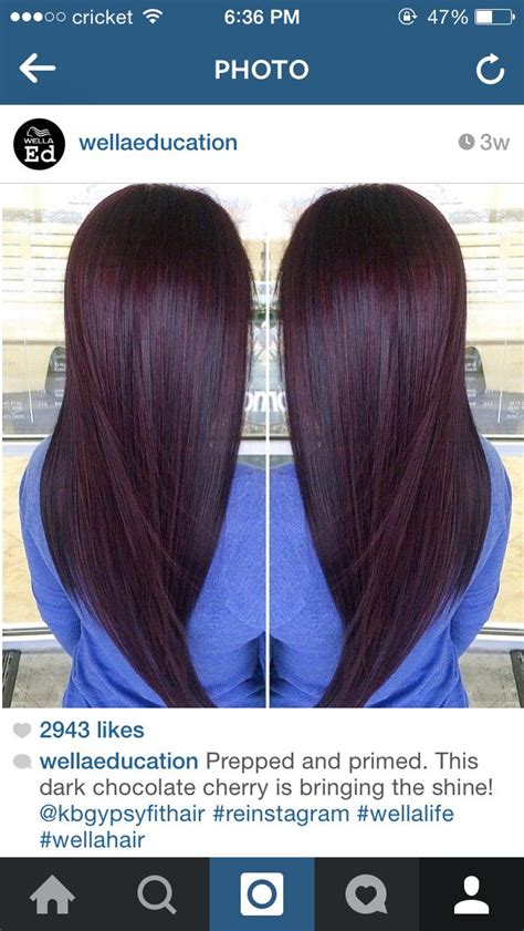 Table of contents hair benefits of black cherries black cherry nutrition facts leaves of black cherry fruit should not be eaten as they contain a chemical that is converted. Black cherry hair color | Glam Up | Pinterest | Hair color ...