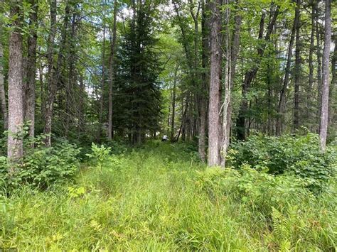 Hunting Land For Sale In Mn Acreage For Sale Northern Mn