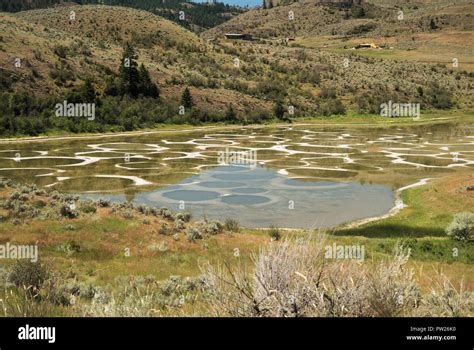 Spotted Lake Near Osoyoos British Columbia Canada Stock Photo Alamy