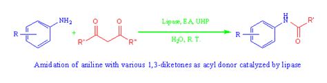 Catalysts Free Full Text Lipase Mediated Amidation Of Anilines With