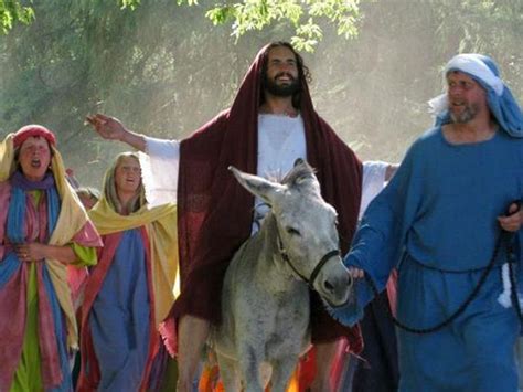 Jesus On Donkey Answers From Scripture A Jesus Journey
