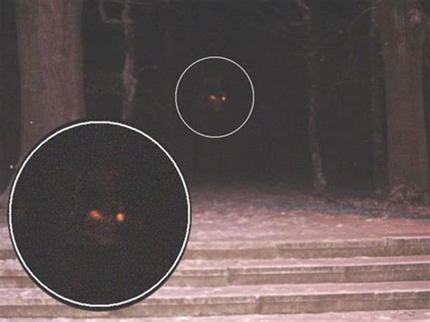 The Real Evidence Of The Paranormal Poltergeist And Demonic Hauntings