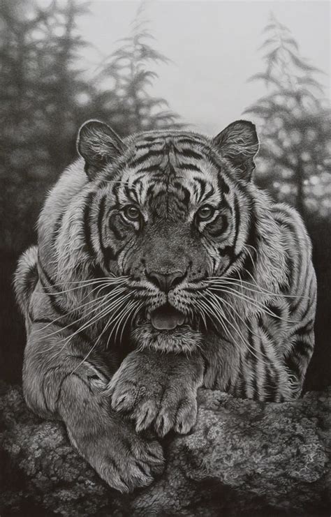 Mejores 105 imágenes de Dibujos blanco y negro en Pinterest | Ideas
