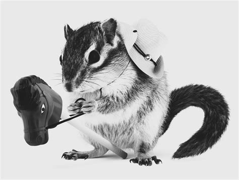 Inflation Reduction Act Archives - Apteka LLC