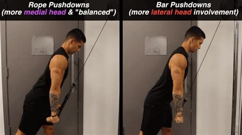 The Best Science Based Tricep Exercises For Each Head Work Your Weak