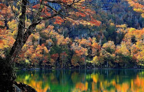 2048x1316 Chile Lake Trees Fall Mountain Forest Water Nature