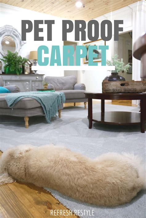 They're small, but can significantly beat home depot price every time. Pet Friendly Carpet Makes Life Easier | Living room carpet ...