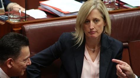 Katy gallagher (born march 17, 1970) is an australian politician. Katy Gallagher faces being referred to High Court over ...