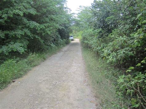International dealings remain separate from any locals in all ways. CZRP007 - Corozal - Residential - Belize Bank