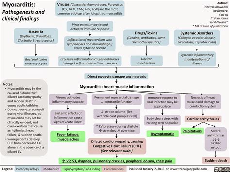 Journal of the american college of cardiology vol. Adult Emergency Medicine: Myocarditis