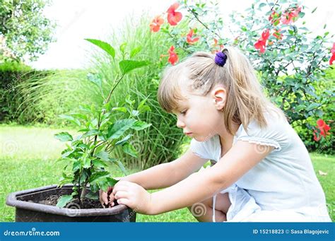 Girl Planting A Plant Stock Image Image Of Business 15218823