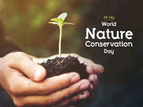 World Nature Conservation Day 2021 Know Date Significance And 5 Ways
