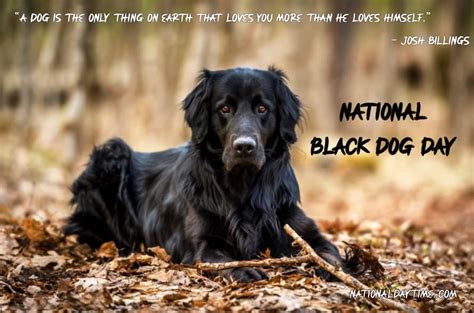National Black Dog Day Quotes Captions Wishes Images Messages