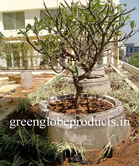 Alibaba.com offers 2,331 roof garden drainage products. Roof Garden Drainage Cell Manufacturer & Exporters from ...