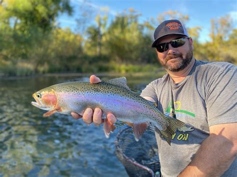 Sacramento River Lower Fish Report Redding Ca Shasta County