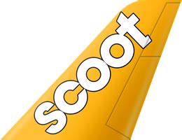 Scoot In Naia Terminal And Contact Info