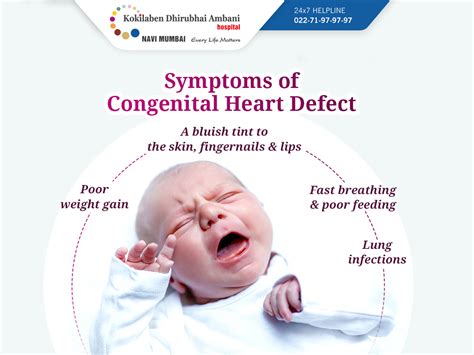 Congenital Heart Defects Diagram Of Heart Illustratin Vrogue Co