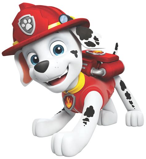 Paw Patrol Rocky Paw Patrol Pups Paw Patrol Party Marshall Wallpaper