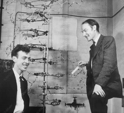 Watson And Crick With Their DNA Model Stock Image H400 0040