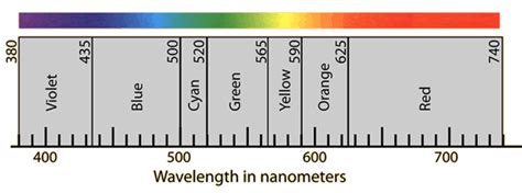 How Do We See Color Wavelength Malorie Maas